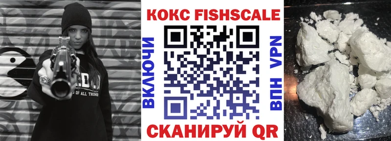 где купить наркотик  Суджа  COCAIN Fish Scale 