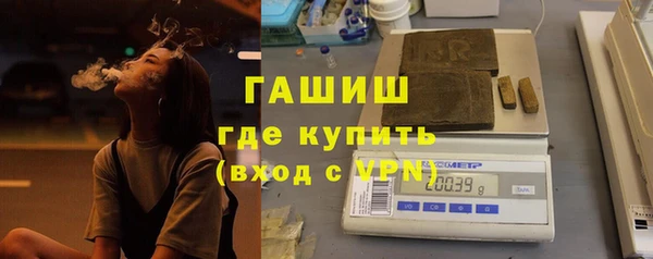 шишки Алзамай