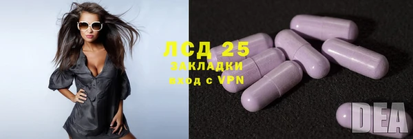 шишки Алзамай