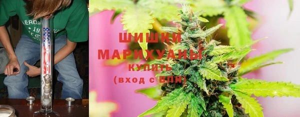 шишки Алзамай