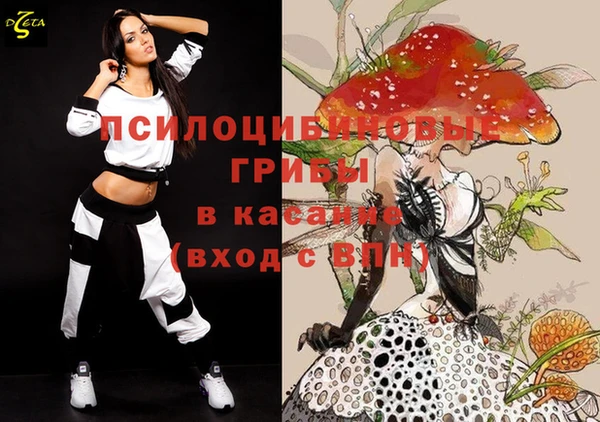 шишки Алзамай