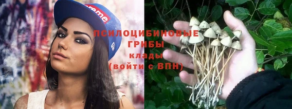 spice Алексеевка