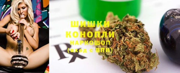 шишки Алзамай