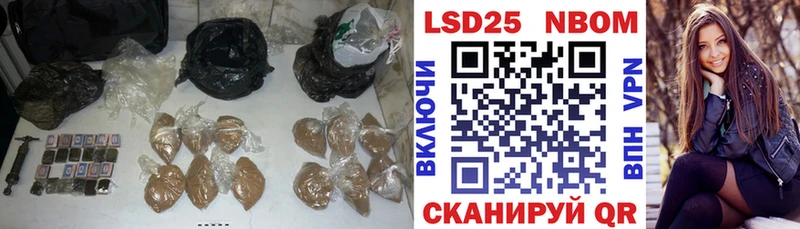 закладка  Суджа  Лсд 25 экстази ecstasy 